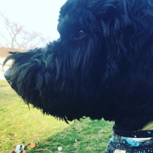 Meet your Posher, Madison